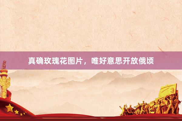 真确玫瑰花图片，唯好意思开放俄顷
