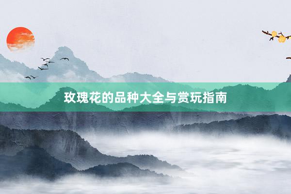 玫瑰花的品种大全与赏玩指南