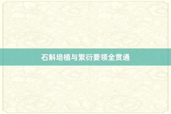 石斛培植与繁衍要领全贯通