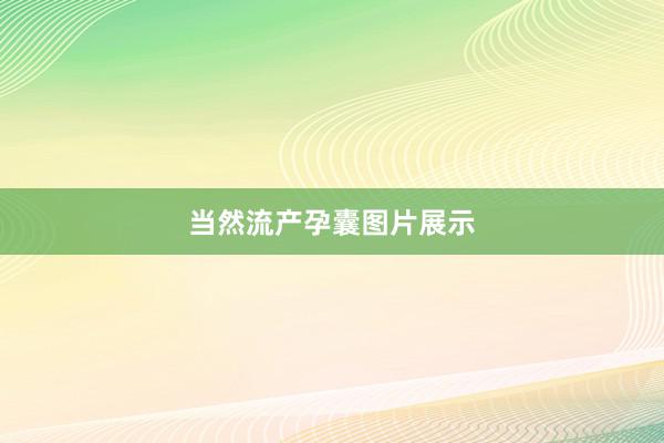 当然流产孕囊图片展示